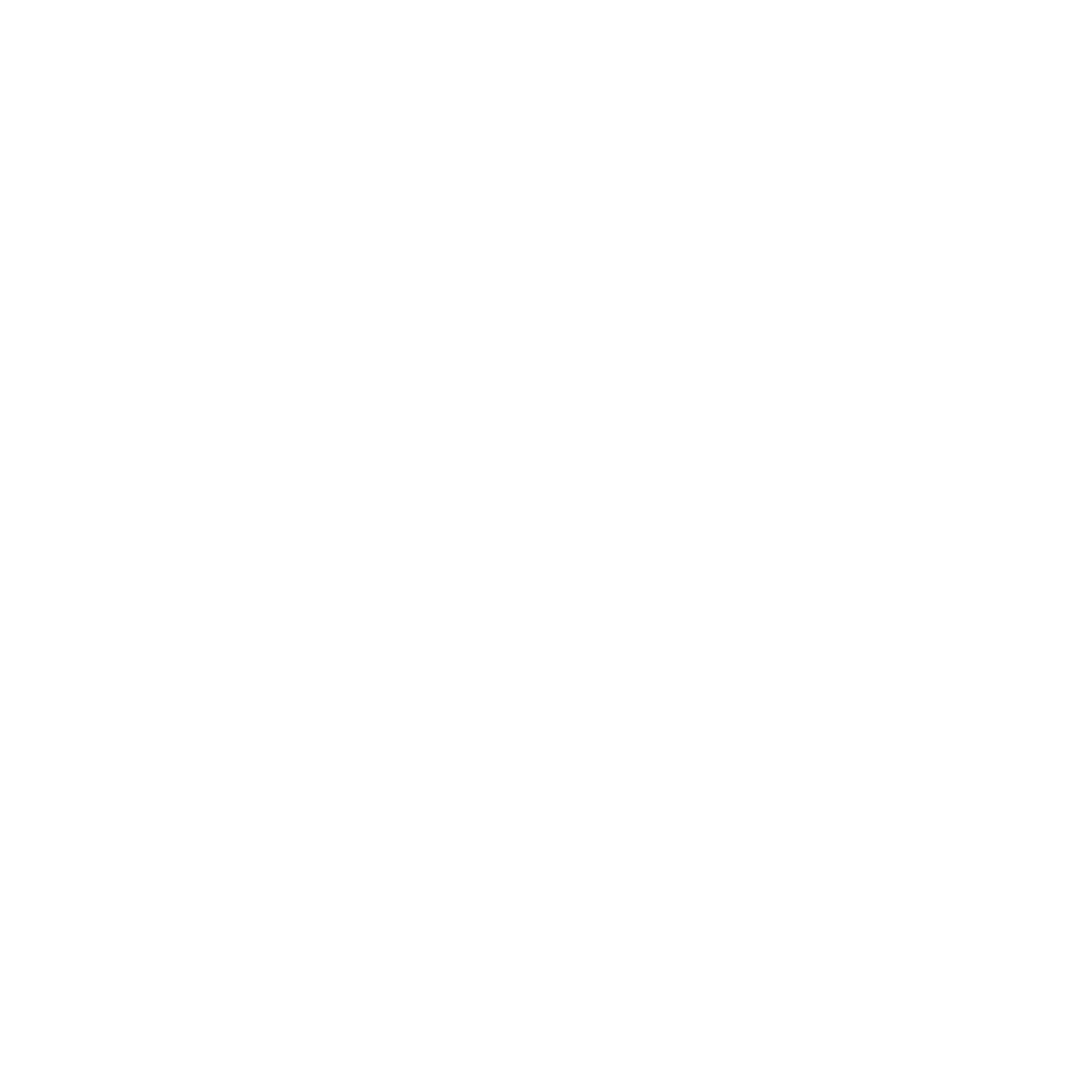 Napervays Logo